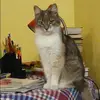 Отзыв от Виктория Терехова